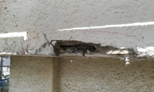 見過ごせない義務　建築基準法第12条点検とは？