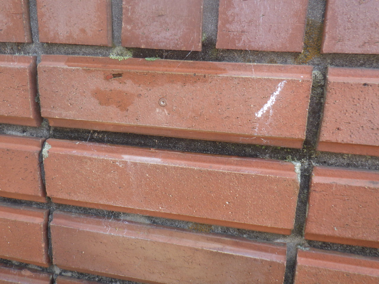 庁舎外壁工事アンカーピン